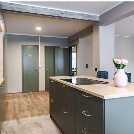 Taeysin Remontoitu Upea Asunto Tampereen Sydaemessae アパート