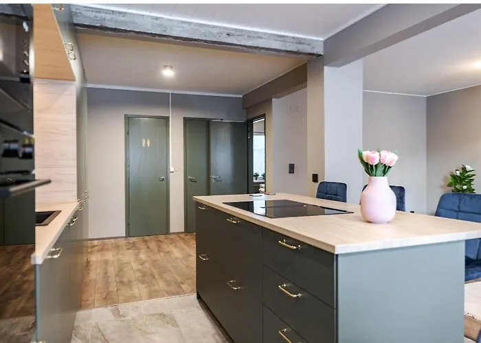 Taeysin Remontoitu Upea Asunto Tampereen Sydaemessae アパート